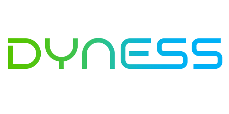 Dyness